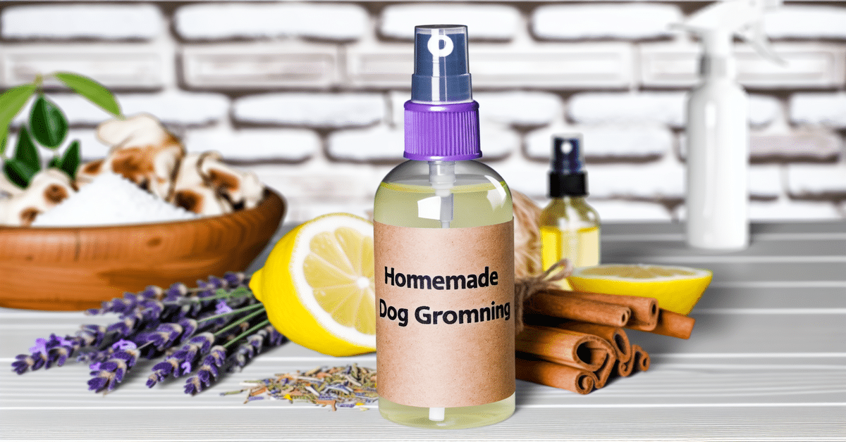 Homemade Dog Grooming Spray: Easy Recipe for Fresh Smell