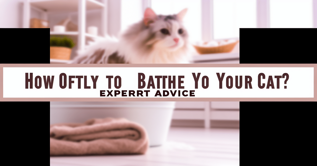 How Often to Bathe Your Cat: Expert Advice