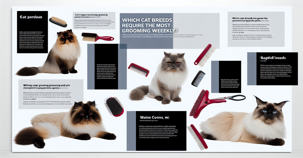 Which Cat Breeds Require the Most Grooming Weekly